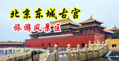 狠狠插入她嫩穴天美传媒中国北京-东城古宫旅游风景区